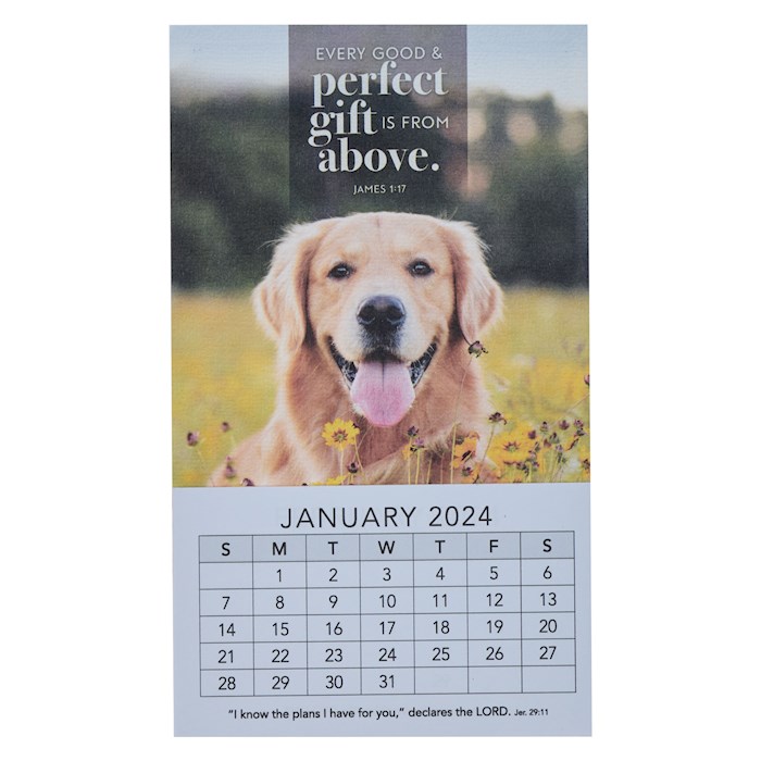 2024 Magnetic Mini Calendar: Every Perfect Gift - Christian Art Gifts